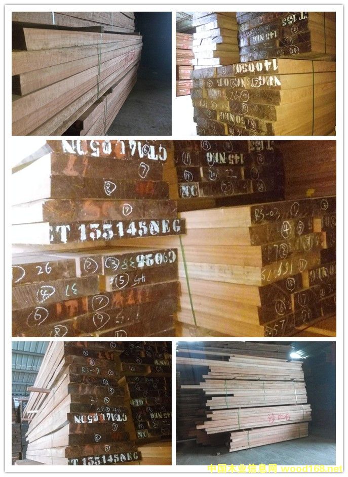 ɳ������