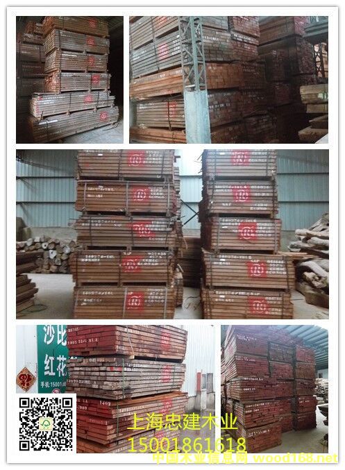 [��] ��ɼtRɳ��������