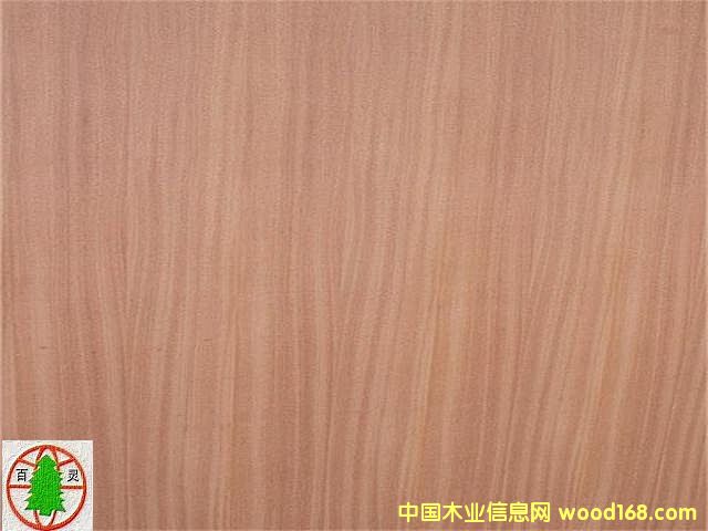 ��Ȼɳ����D