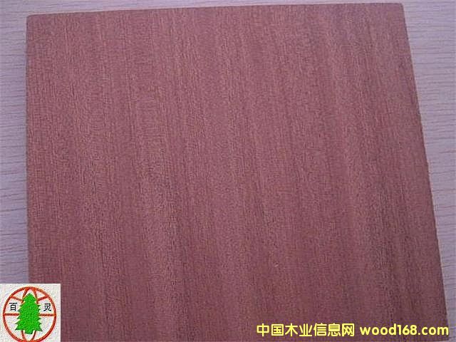 ��Ȼɳ����C