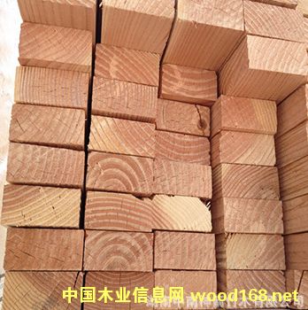 ������ ���_˹�M(j��n)��