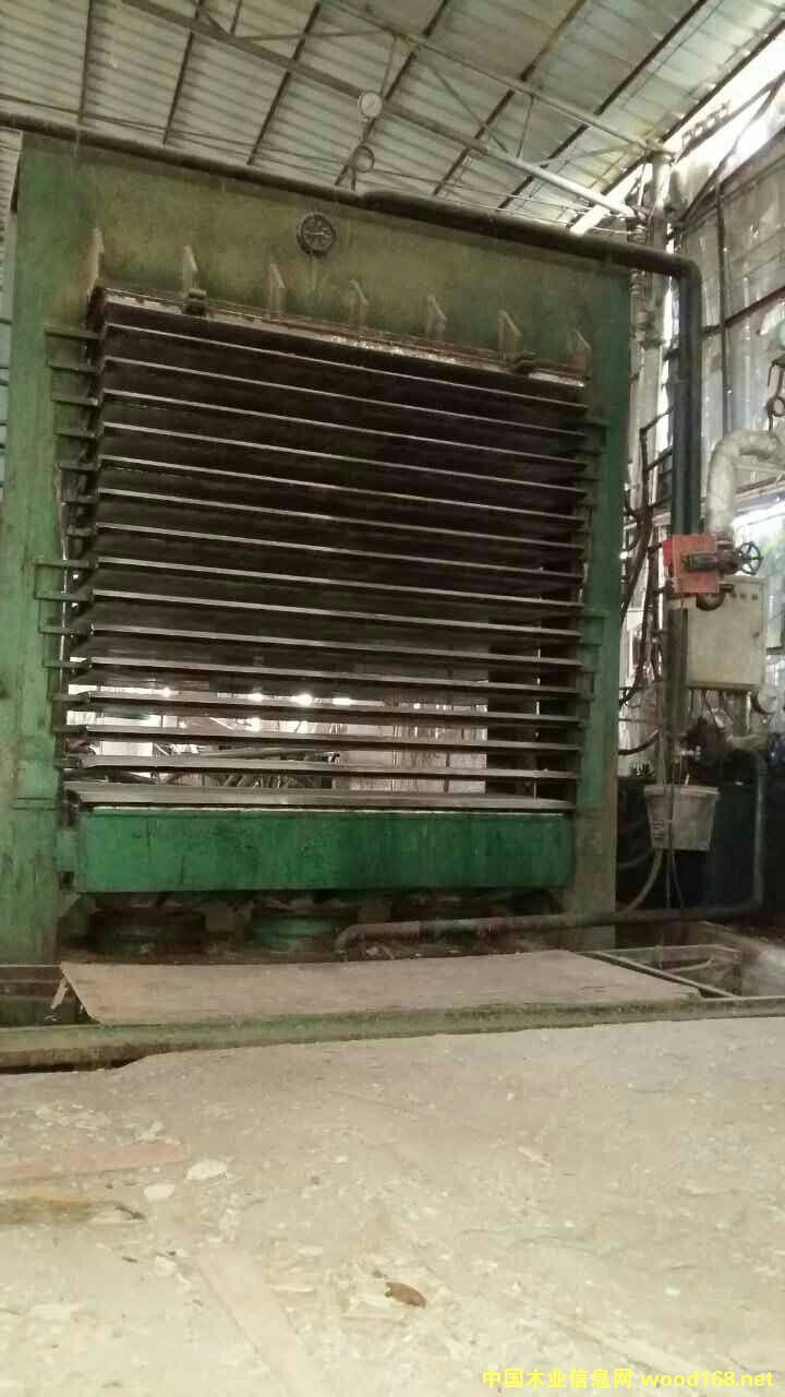 15�ӟቺ�C(j��)��18