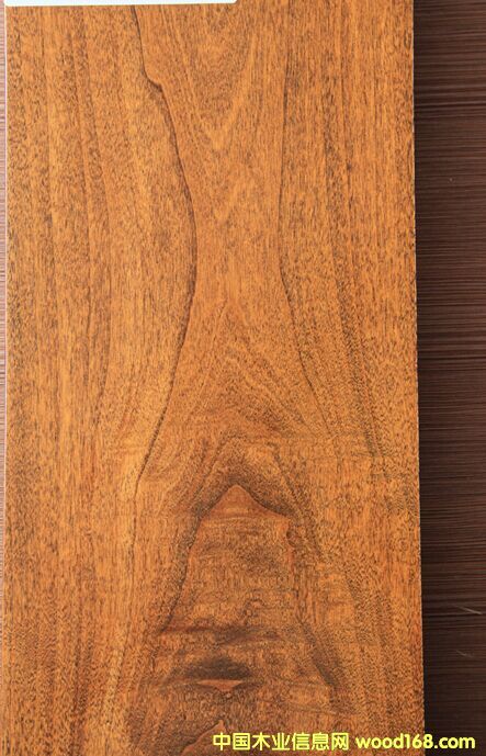 ��z�(y��u)���ٹ��