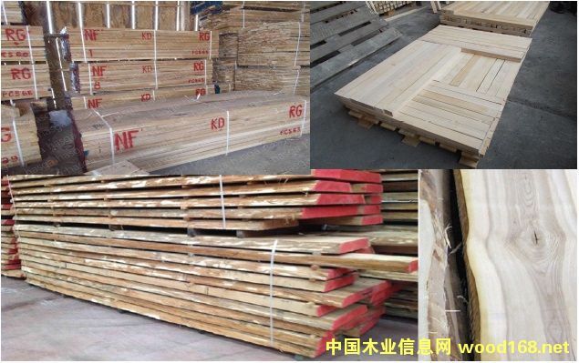 Ӳľ䏲�/����ľ