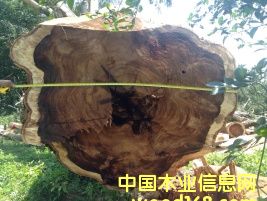 �S̴��Ԕ��(x��)��B