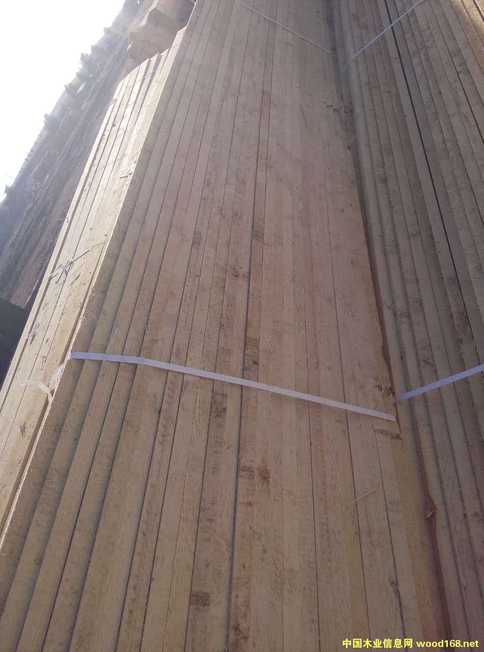 �����ٹ���Ԕ��(x��)��B