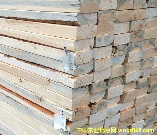 ����SPF��Ԕ��(x��)��B