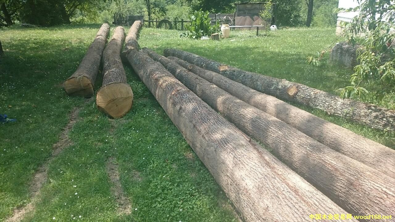 ��ľԭľ��Ԕ����B