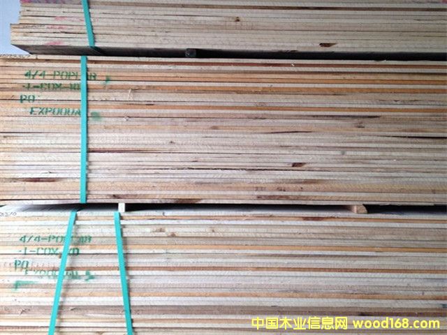 �����S��ľ��� �M�ڼҾ��b�ތ�ľ���