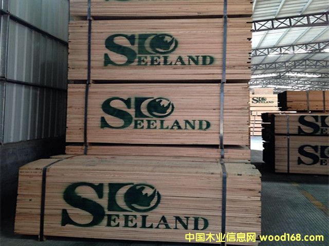 �����t��ľ��� �M�ڌ�ľ �b�޲���