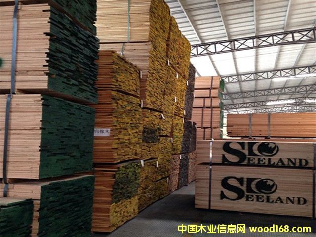 �����t��ľ��� �M(j��n)�ڌ�ľ��