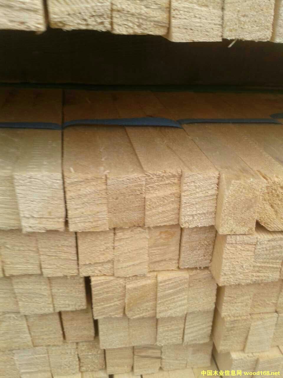 ���������ǵ�Ԕ����B