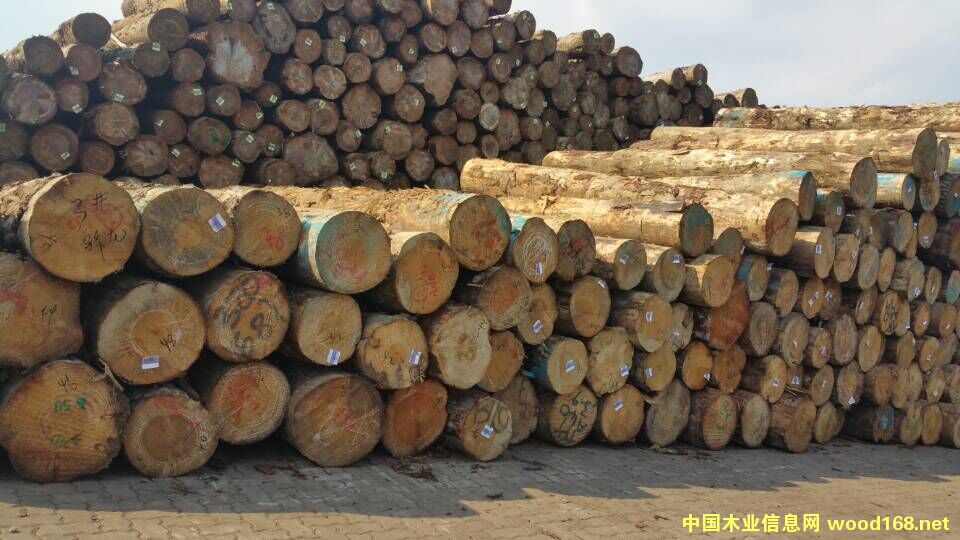 �����mݗ����ԭľ