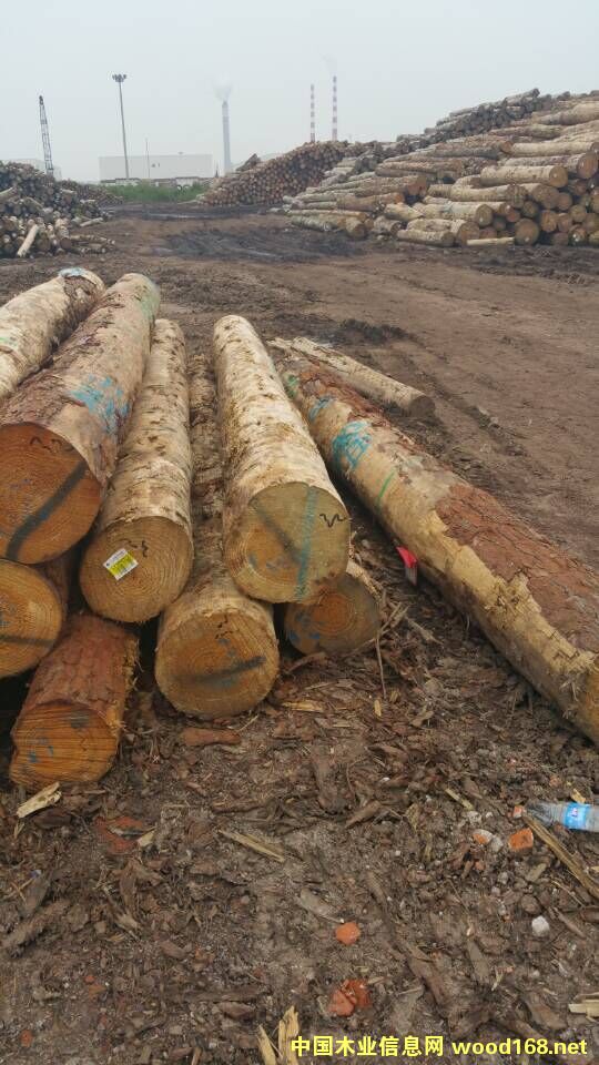 �����mݗ����