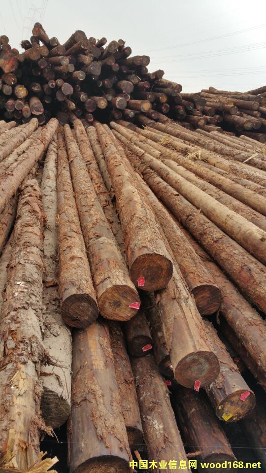 ���ô��Fɼ