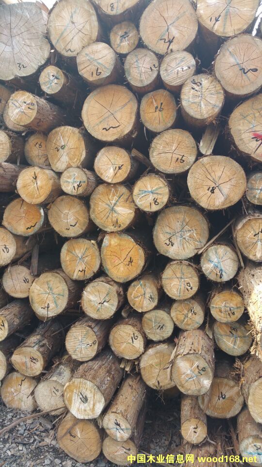 ����(gu��)���ԭľ