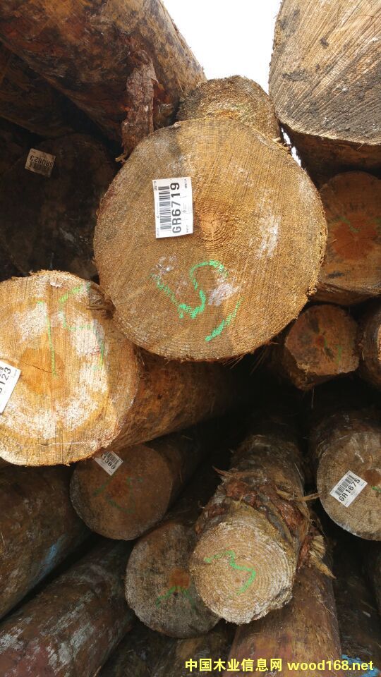 �����S��