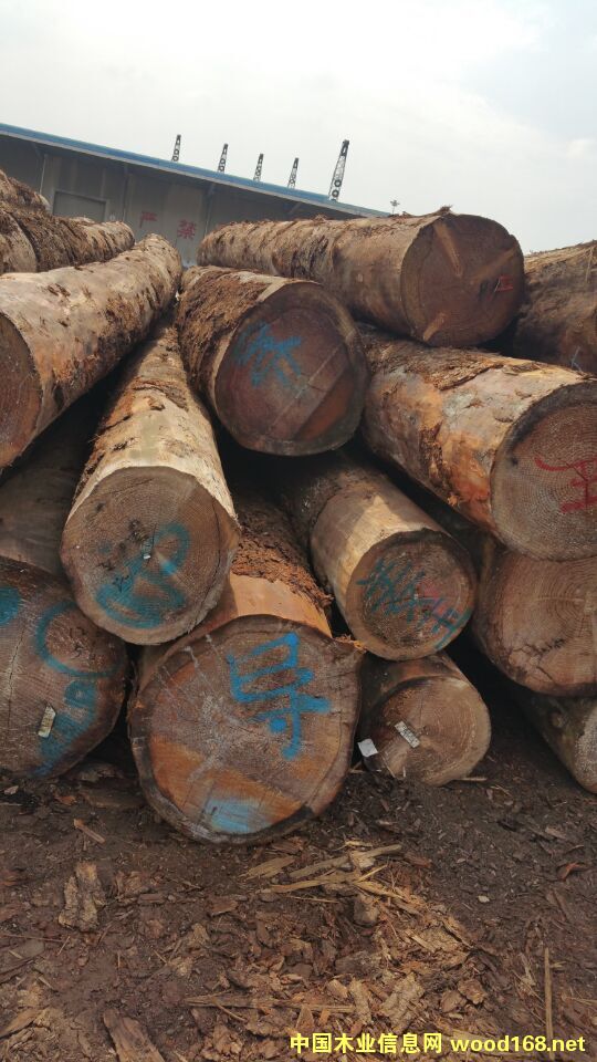 ���ô���