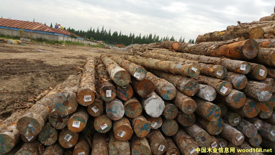 ����4�׼���