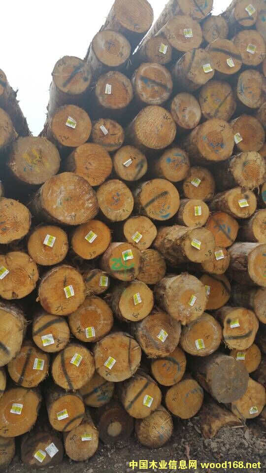 �����mݗ����ԭľ