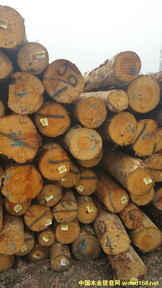 �����mݗ����