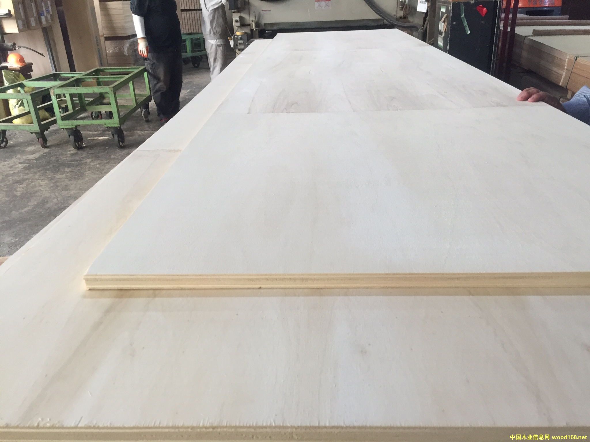 о�ļ�(j��)��ľLVB