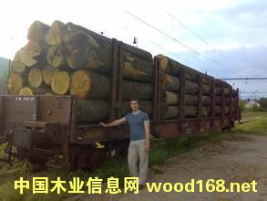 �����m��ľԭľ