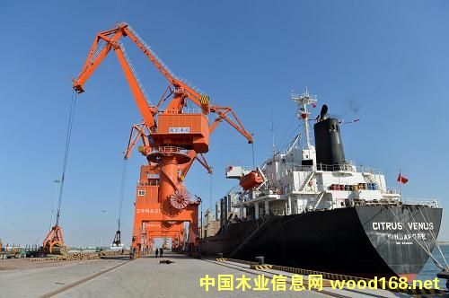 �������ľ��ȫ�a(ch��n)�I(y��)朲��ֱ������ľ�Ľ���ƽ�_