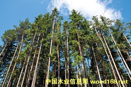 PEFC�J(r��n)�C�����m�֘I(y��)Ӱ����h(yu��n)