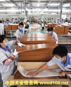 ʥ�Zľ�I(y��)�(xi��ng)Ŀ��Ͷ�Y30.5�|Ԫ