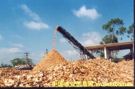 �����ֈ�(ch��ng)��ľƬ�����sľƬ