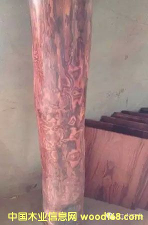 �������S����ľ�ϽY(ji��)�����ơ���Ę��