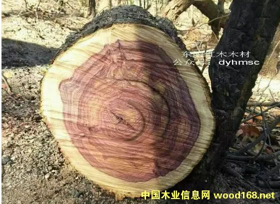 ���S̴(�������S�������������S����)ԭľ