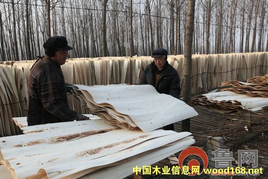 ɽ�|�R�ʣ�����ľƤ������ľƤ