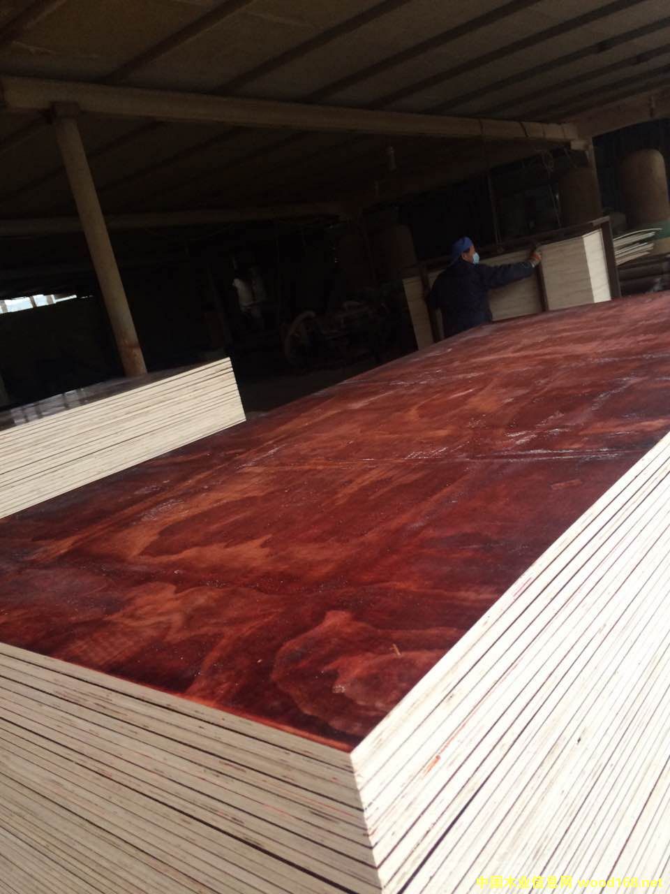 ����ģ�� �ͺϰ��Ԕ����B