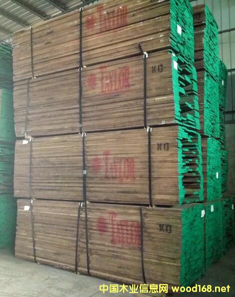 黑胡桃的詳細介紹