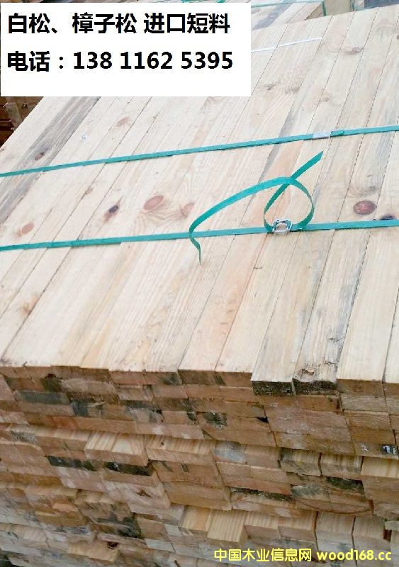 �����������ɶ���