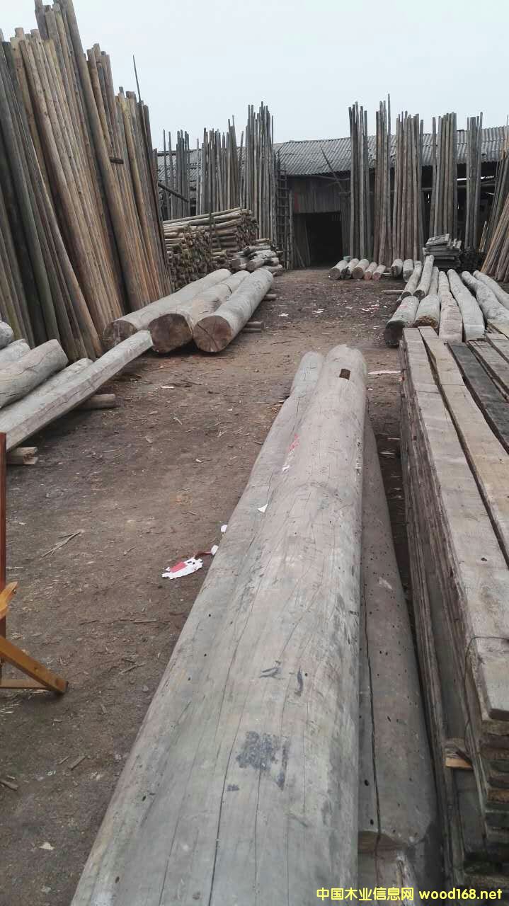 木的詳細(xì)介紹