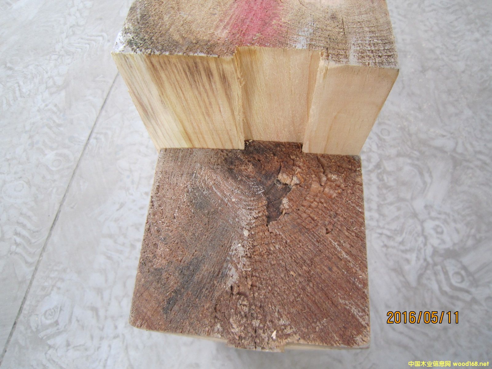 [��] ��������ԭ��β�۹�ľ���p�C