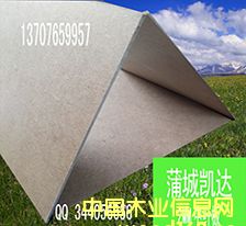 2.1MM���w��