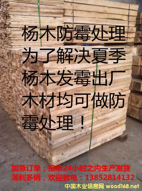 �����ľ�����ˣ�