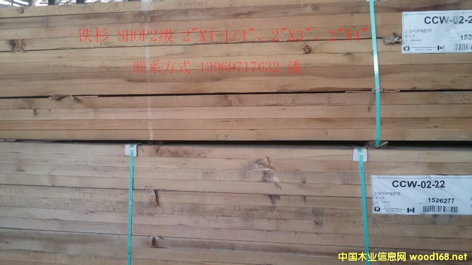 �FɼSHOP��Ԕ����B