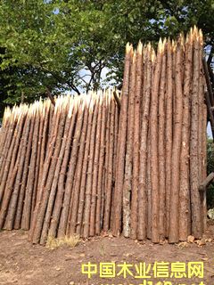 ��ľ����Ԕ��(x��)��B