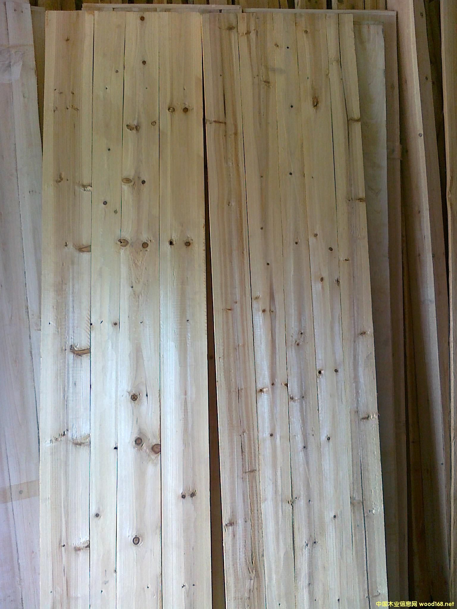 ɼľ�����Ԕ��(x��)��B