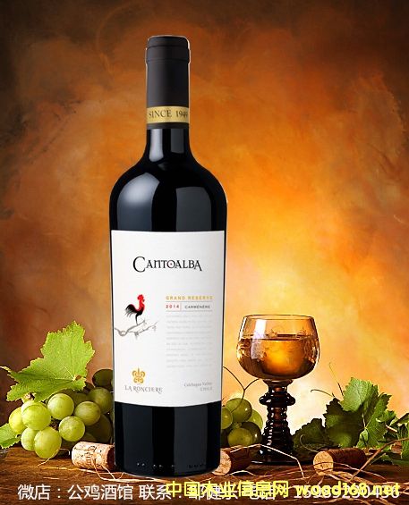 ���u�ؼ���ؿ����ȼt���Ѿ�