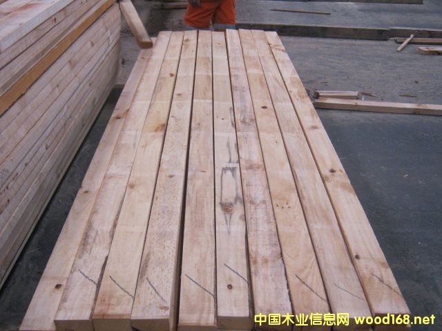 �����ɹ��I(y��)���o�{(l��n)׃ݗ����