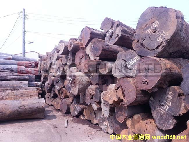 ���_�T(m��n)����̴ԭľ��Ԕ��(x��)��B