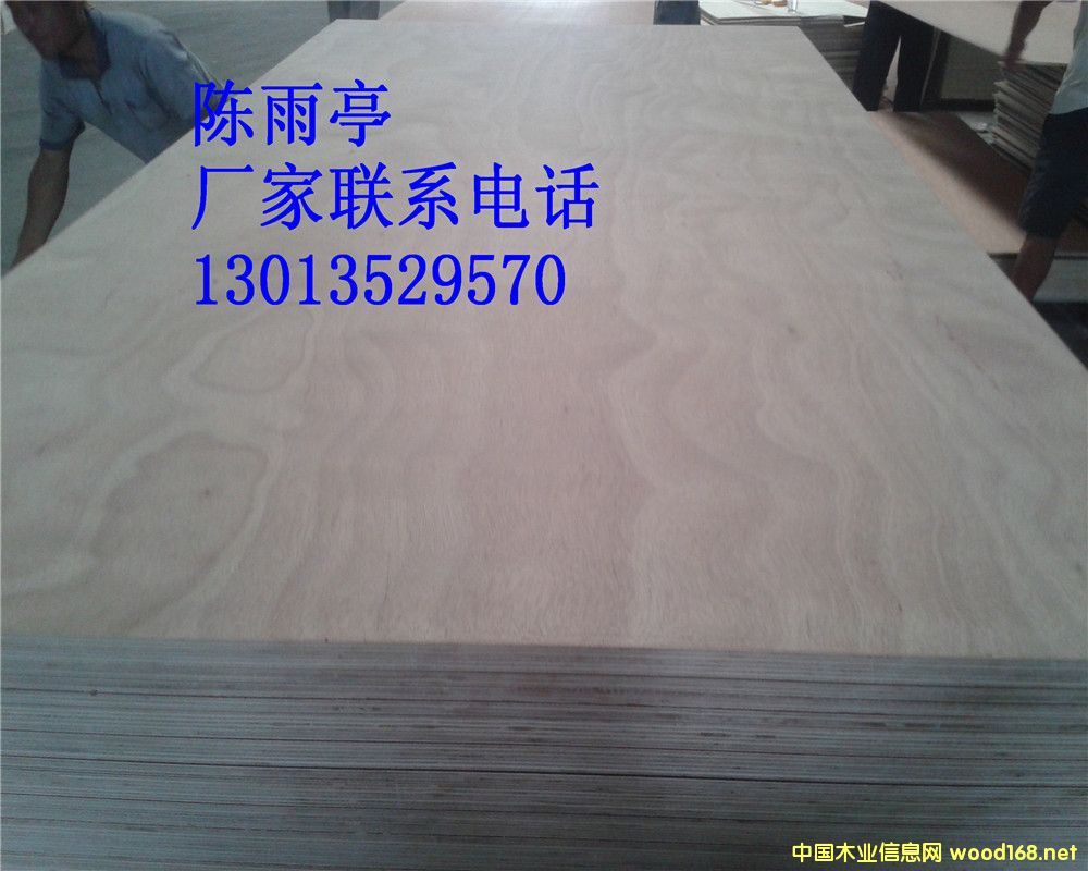 [��] �����W����(���) 15mm��о�z�ϰ�