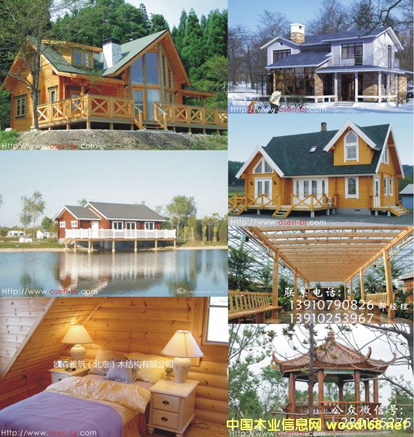 ���ľ�ݣ�ľ������ľ�e������Ԕ��(x��)��B