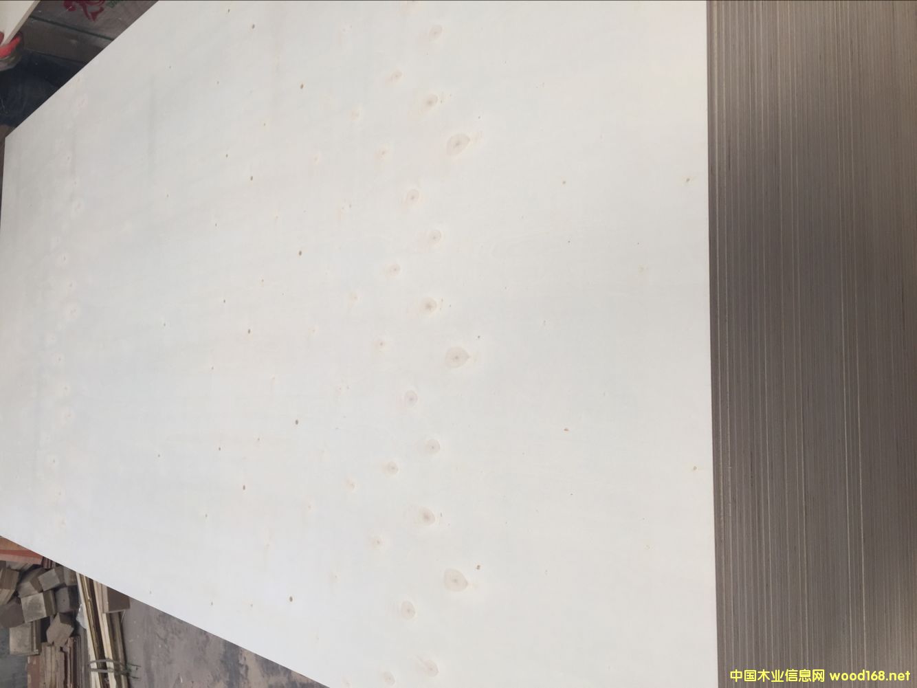 16���Y(ji��)Ư�ח�ľ�����